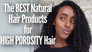 BEST HAIR PRODUCTS FOR HIGH POROSITY HAIR
