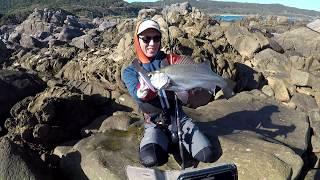 Tanegashima Blackfin seabass Rock Shore 2018.1.2  種子島 ヒラスズキ