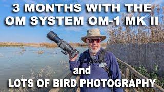 Water Bird Photography and Three Months with the OM System OM 1 Mk II