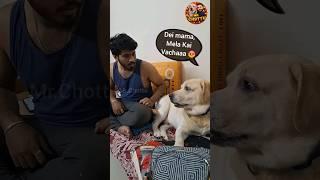 Dei mama...Mela Kai vacha kadichuduven #doglover #dogsofinstagram #petlovers #pet #animals #vlogs