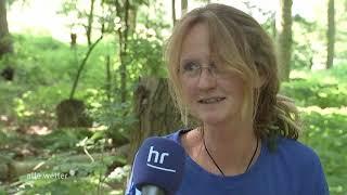 Projekt vom 11.06.2021 "Renaturierung Pflanzgarten am Lohwald"