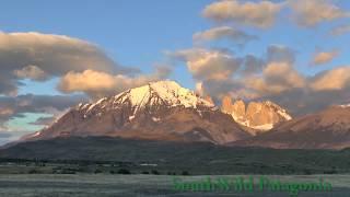 SouthWild Best Patagonia