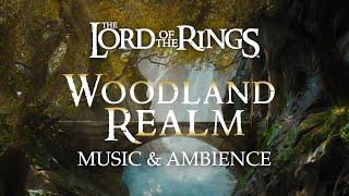 Lord of the Rings | The Woodland Realm of Mirkwood Music & Ambience, with @ASMRWeekly