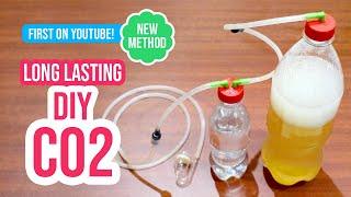 Build a Long Lasting DIY CO2 System for Your Planted Aquarium 🫧