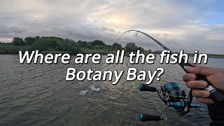 Are there any fish anymore in Botany Bay?