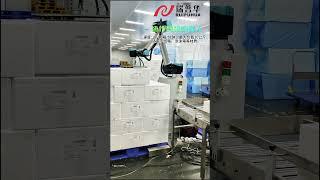 Robotic Palletizing Powerhouse: The 10-15 Packs/Minute Automation Wonder #palletizing #robotic