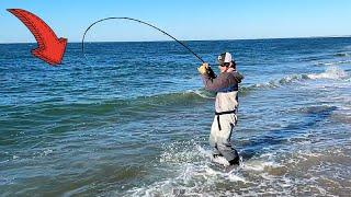 2 Hours of Catching the CRAZIEST Beach Fish!!