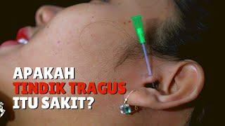  Tindik Telinga Tragus | Apakah penindikan tragus itu menyakitkan? | Tragus Piercing