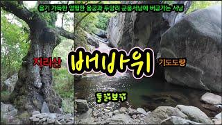 지리산 배바위 음습한 영검 용궁군웅 서낭기도터 둘러보기~ 배바위 기도도량의 명품 서낭님과 용궁 기도터를 만나보세요~!!! #기도터 #무당 #서낭 #배바위기도터