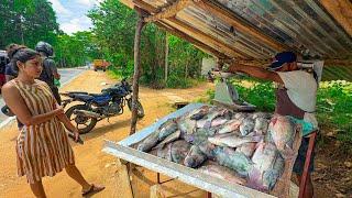 Beautiful!! The Traditional Village Beautiful Fish Market in Sri Lanka Excellent Fish Cutting