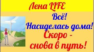 Лена LIFE. Обзор влогов.  14  05 2025 Лена