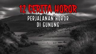 PERJALANAN HOROR DI GUNUNG (PENDAKIAN) | KUMPULAN 12 KISAH HOROR PERJALANAN