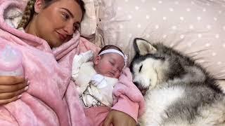 From My Husky Taking Care Of My Baby, To My Baby Taking Care Of My Husky!.