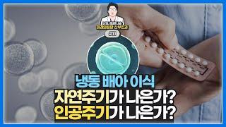 시험관 냉동배아 할때 자연주기, 인공주기란 무엇이고 성공 확률이 높은 것은?