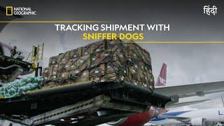 Tracking Shipment with Sniffer Dogs | To Catch a Smuggler | हिन्दी | Full Episode | S1 -E8 | Nat Geo