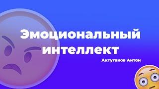 Эмоциональный интеллект | Актуганов Антон