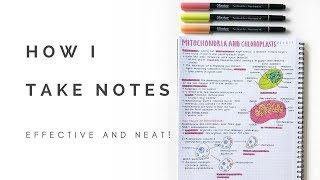 How I take notes (neat and effective) | studytee