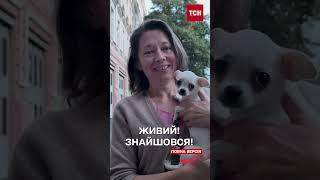 Маленького песика знайшли під завалами! Щемливе возз'єднання із господаркою РОЗЧУЛИЛО ВСІХ!