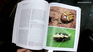 Buchbesprechung - 'Beetle Breeding - The Substantial Guide' von Benjamin Harink