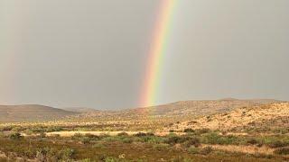 2 Years Off-Grid: Turning Raw Land into a Homestead Paradise!