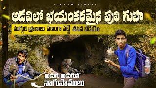 భయంకరమైన పులి గుహ || Dangerous Tiger Cave's || Vikram Vihari