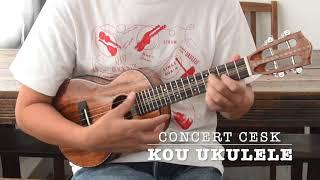 KOU ukulele Concert CESK