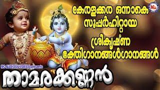 സൂപ്പർഹിറ്റ് ശ്രീകൃഷ്ണ ഭക്തിഗാനങ്ങൾ| Hindu Devotional Songs Malayalam | Sree Krishna Songs