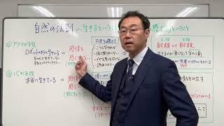 本当に “生きている“ とは、”感情を感じている” ということ 〜自然の法則