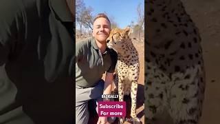 cheetah with human  #shorts #short #shortsfeed #shortsviral #funny #trendingshorts #trend #trending