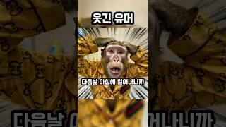 짧지만 웃긴 2 #viral #웃긴 #재미 #유머 #fyp #cartoon