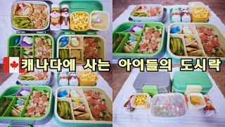 캐나다에 사는 아이들의 한식 도시락/korean lunchbox ideas/대충 싸는 도시락