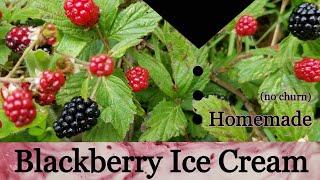 Homemade Blackberry Ice Cream - No Churn