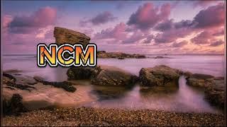 no copyright music. Psylla In Bonfires Green Jersey_Club NCM. [lyrics]