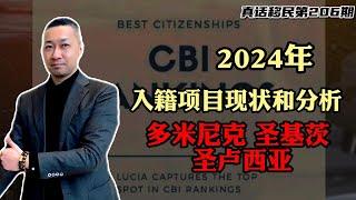 【真话移民】2024年投资入籍岛国护照移民项目现状分析，教你如何选小国护照 #圣基茨护照 #圣卢西亚护照 #多米尼克护照