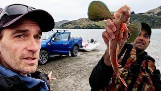 South Island Winter Fishing Is Surprisingly Good - Delaware Bay, Nelson