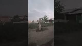 Дети спасают  парник. Ветер, мини ураган.