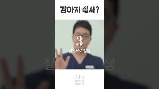 강아지 설사의 원인️ #동물병원#수의사