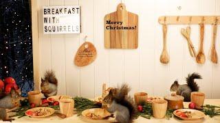 Christmas Breakfast With Squirrels and Peaceful Christmas Music