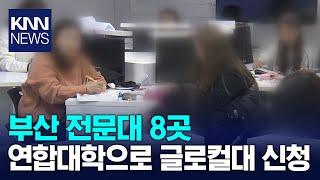 부산 전문대 8곳 연합대학으로 글로컬대 신청 / KNN