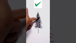 Right way to draw Pine Tree #art #ytshorts #shorts #short