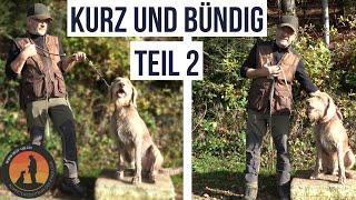 Angespannte Leine lässt Aggressionen entstehen | Hundeschule U.B.