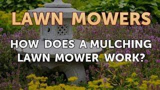 How Does a Mulching Lawn Mower Work?