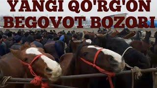 NAMANGAN YANGI QO'RG'ON BEGOVOT OT BOZORI