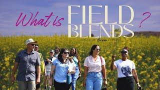 What is Field Blends Wine Travel?