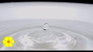 Single Drop of Water Falls in a Bucket - Water Drops - Water Dripping Slowly in a Tub - Relax Sounds