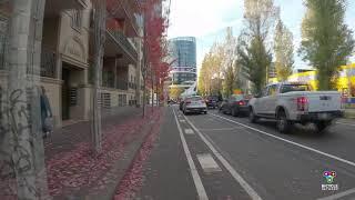 Bicycle Network - Peel Street pop-up bike lane