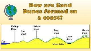 How are Sand Dunes formed on a coast? - Labelled diagram and explanation