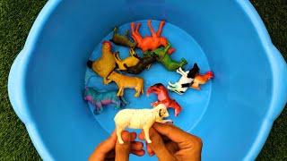 Best Toys For Kids - Animal Toys, Cleaning Toys - Toys Toys