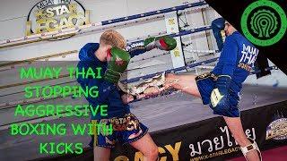 Muay Thai Vs Boxing - Countering Punches with Kicks Tutorial