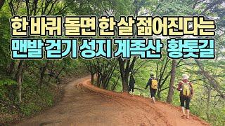 한 바퀴 돌면 한 살 젊어진다는 맨발 걷기의 성지, 계족산 황톳길 14.5Km